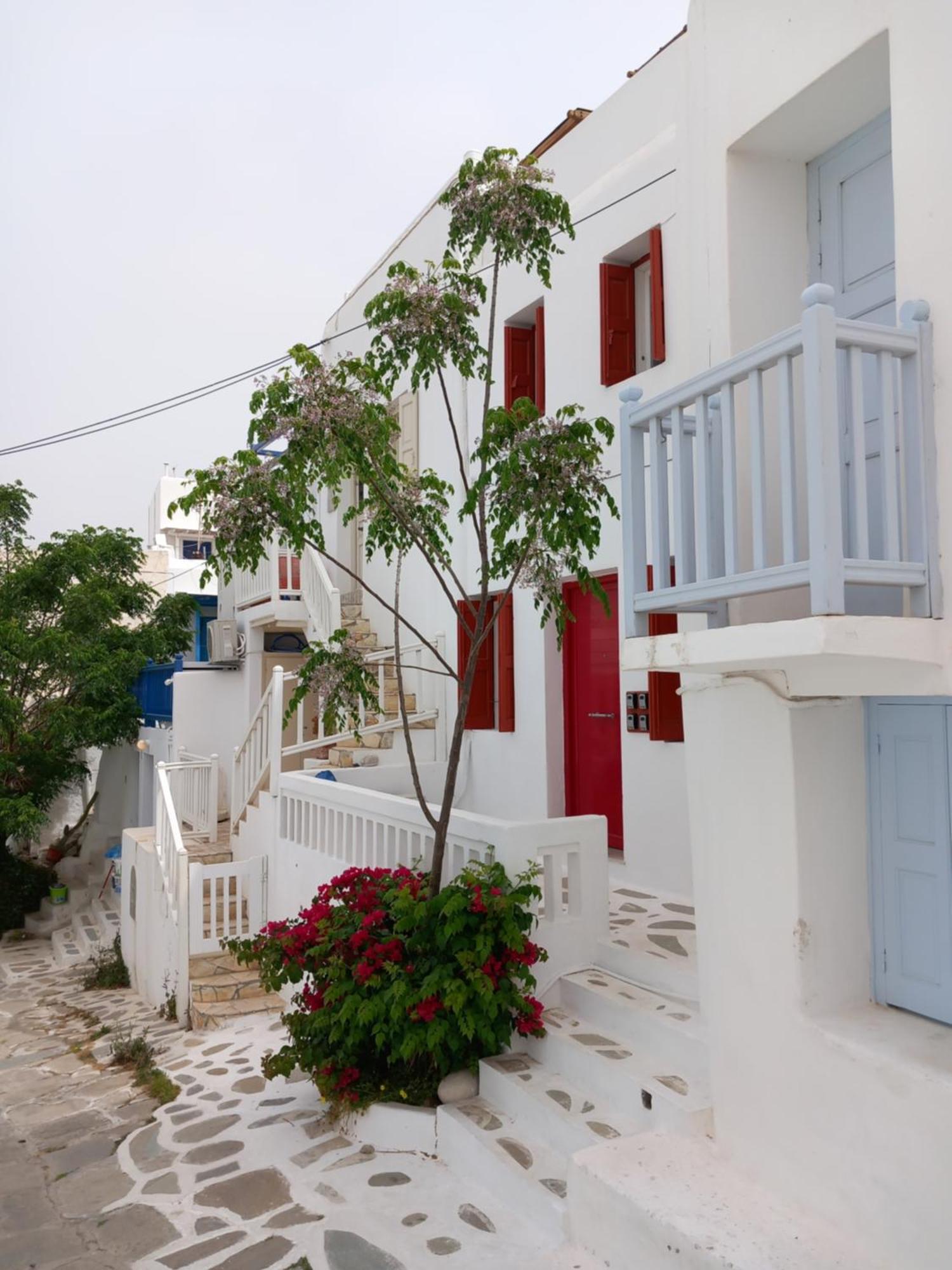 Alex Oldtown Sea View Rooms And Appartments Mykonos Town Eksteriør bilde