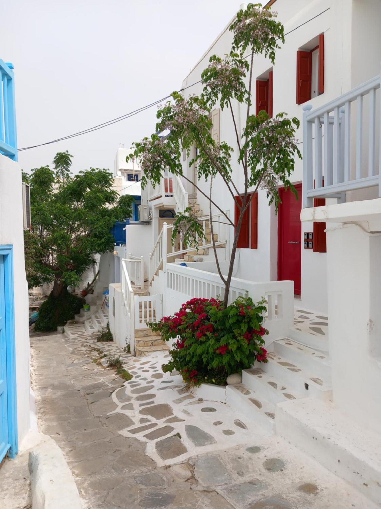 Alex Oldtown Sea View Rooms And Appartments Mykonos Town Eksteriør bilde