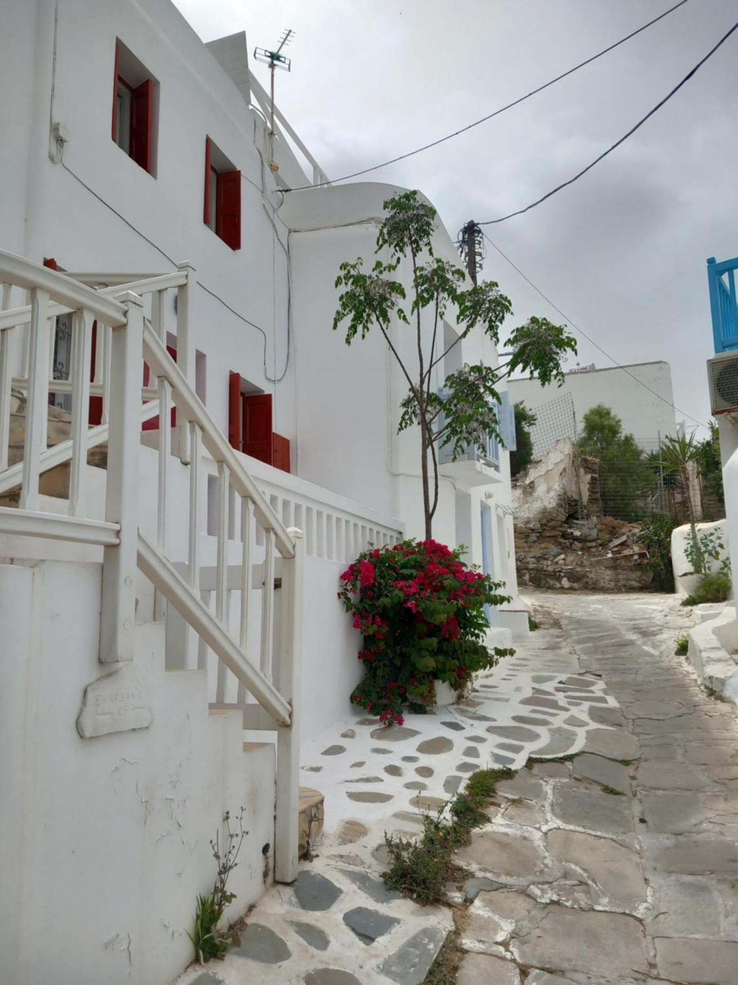 Alex Oldtown Sea View Rooms And Appartments Mykonos Town Eksteriør bilde