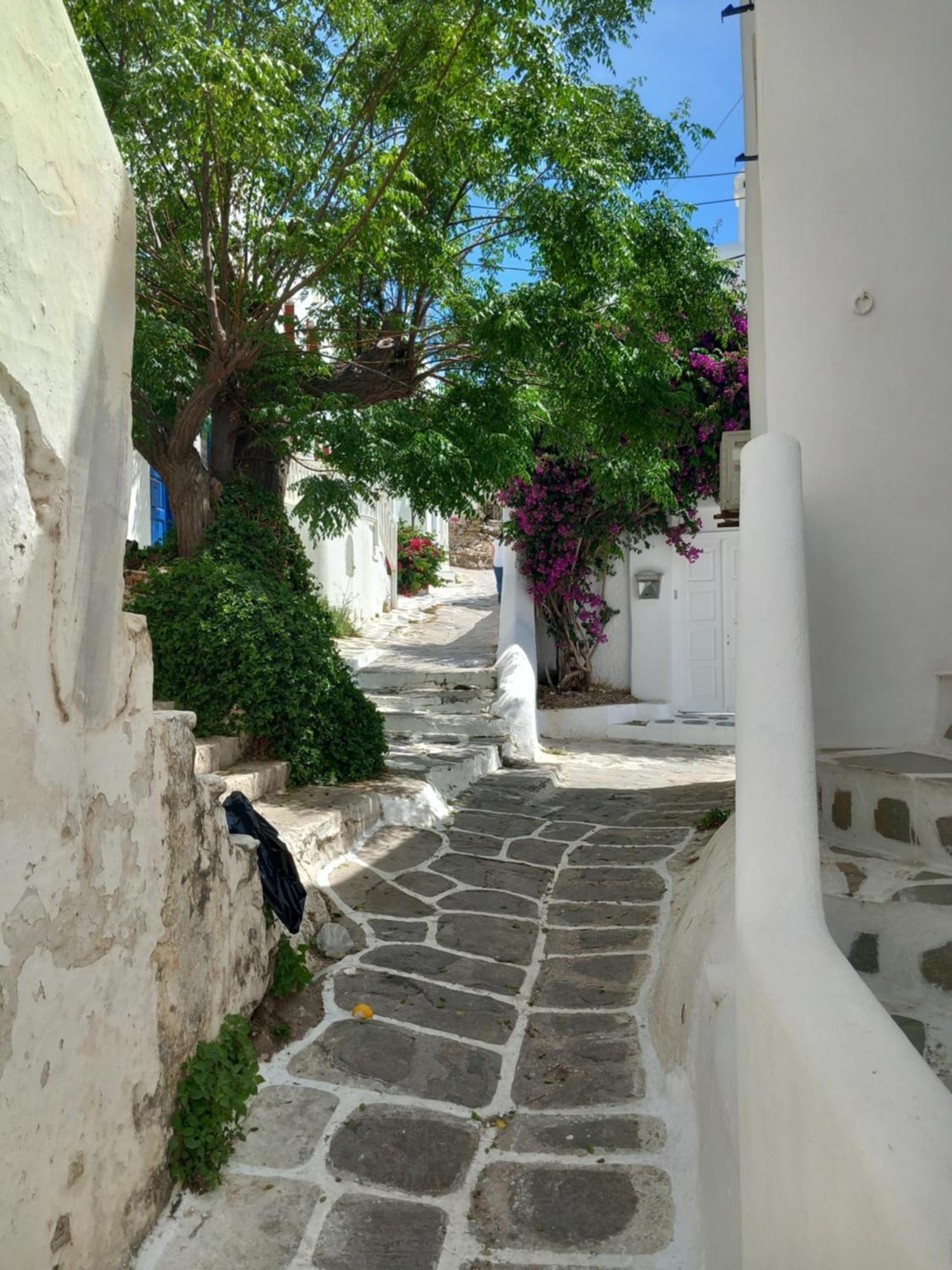 Alex Oldtown Sea View Rooms And Appartments Mykonos Town Rom bilde