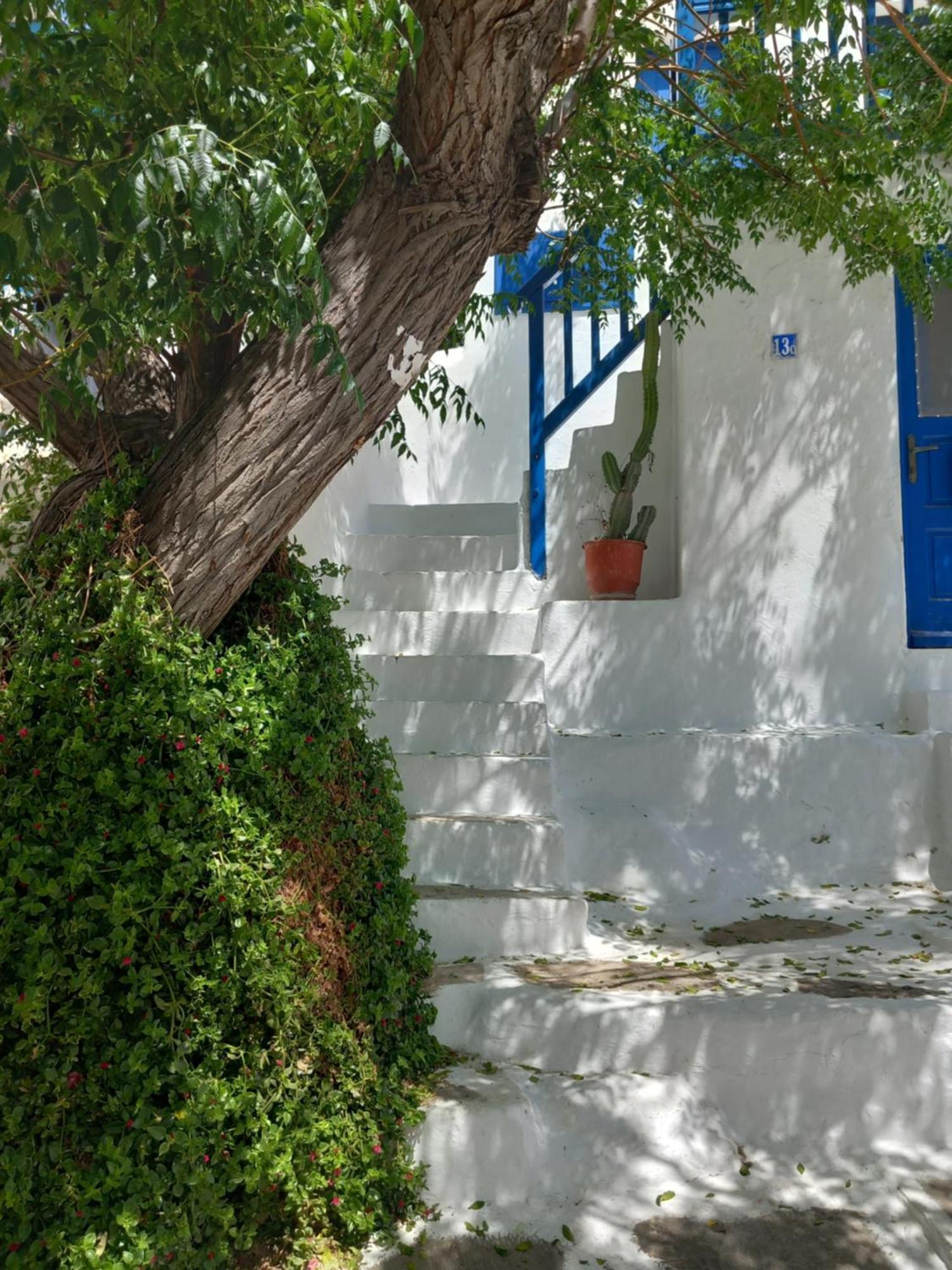 Alex Oldtown Sea View Rooms And Appartments Mykonos Town Rom bilde