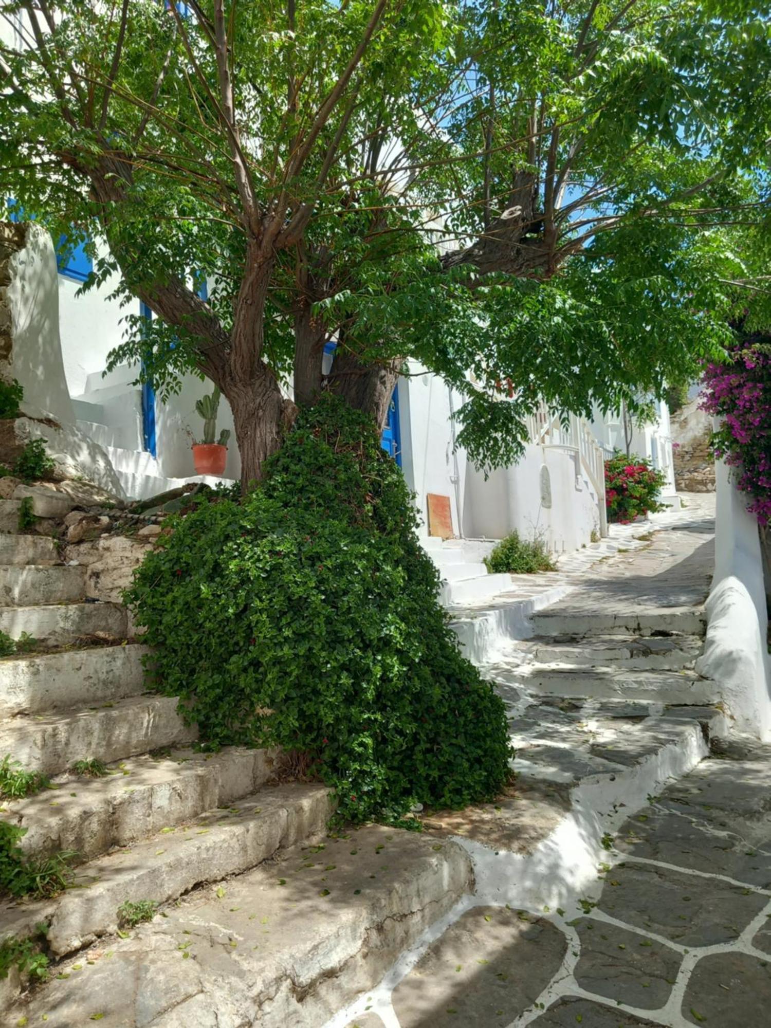 Alex Oldtown Sea View Rooms And Appartments Mykonos Town Eksteriør bilde